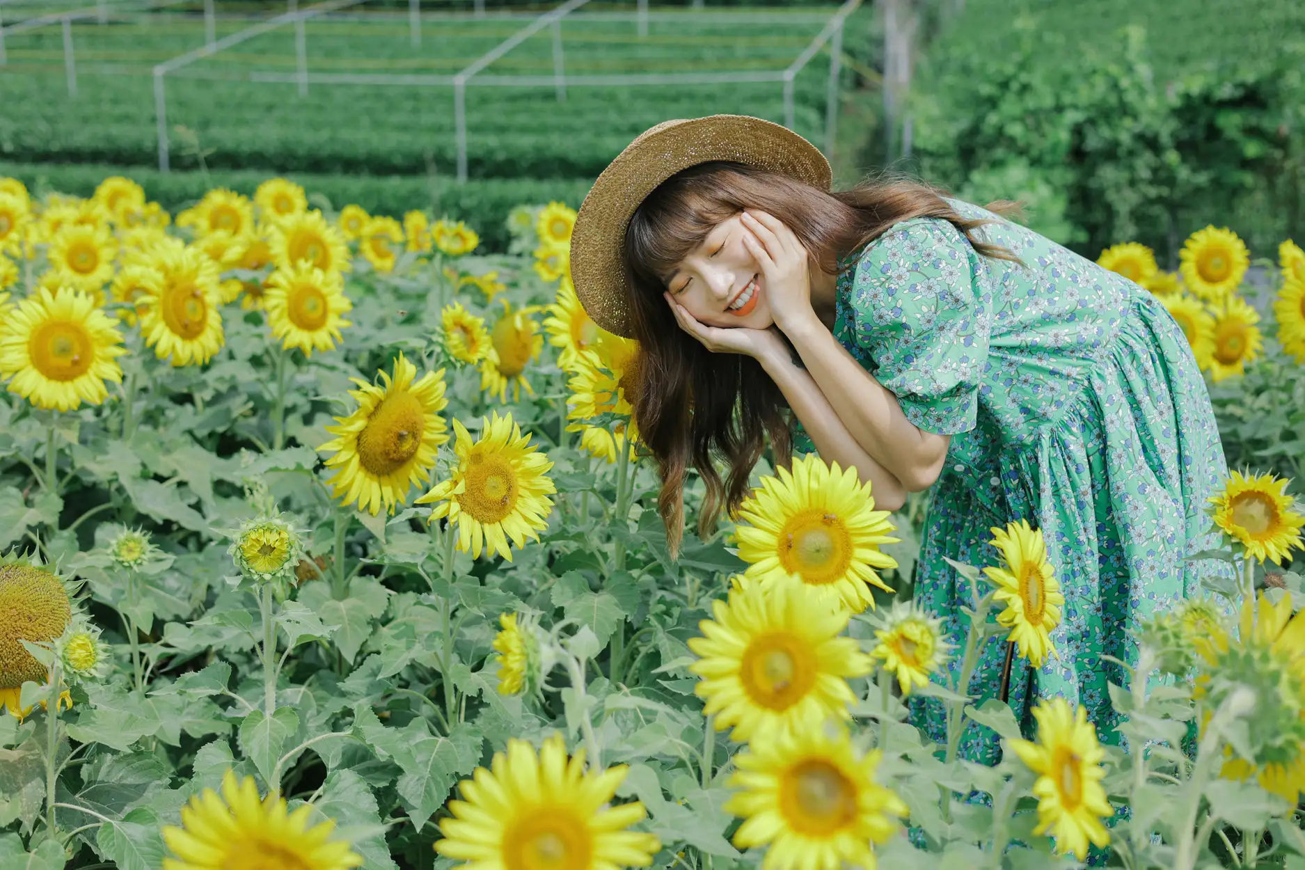 [YITUYU] 2022.07.12 Vol.1458 – Sunflower Summer Fatty Blue-#[33P]-30